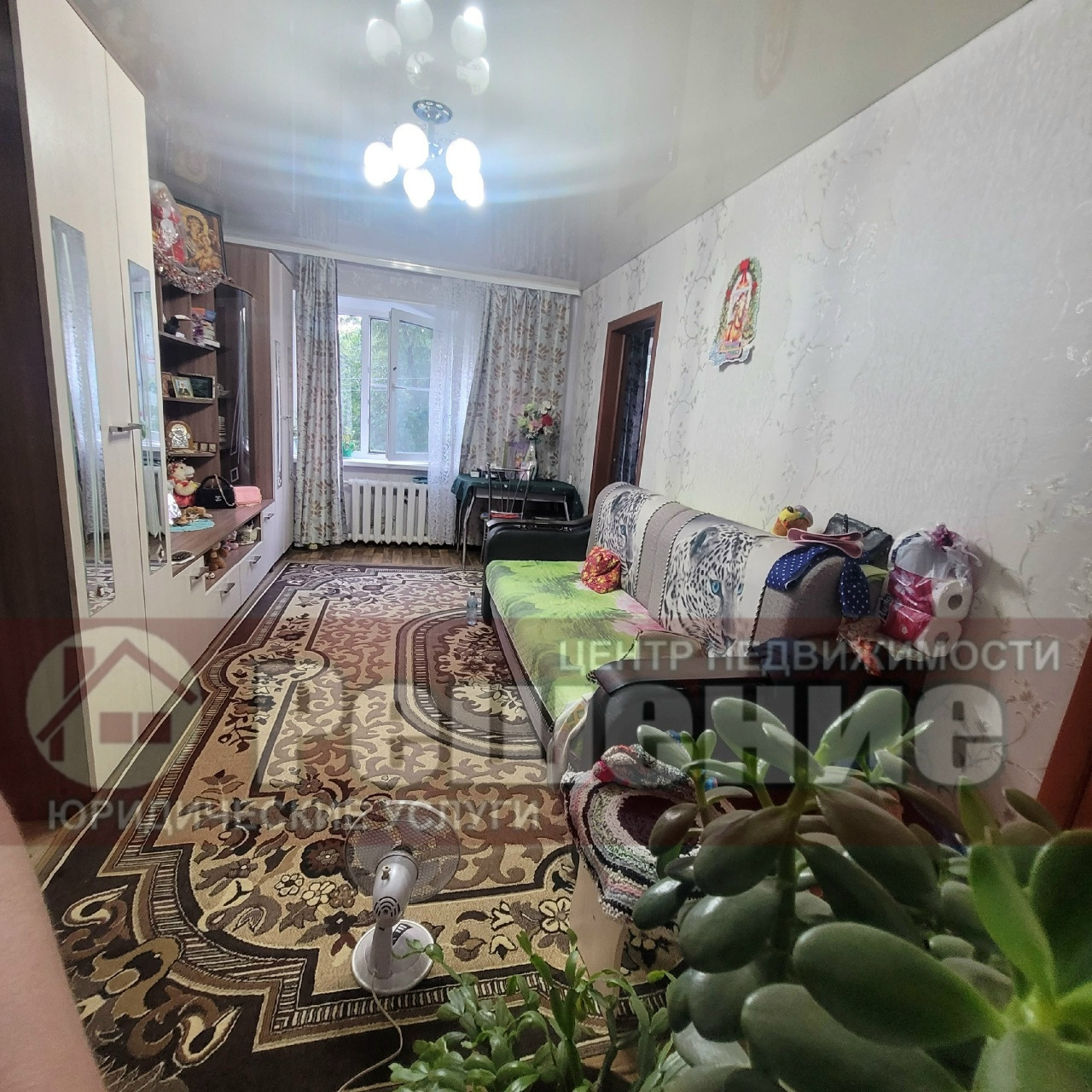 Отличная двушка рядом с парком Победы — комфорт, локация и уют для вашей семьи 🏡🌳
📍 г. Копейск, ул. Хохрякова, 5. Один из лучших районов города: тихо, зелено, всё рядом.
🔑 Что внутри:
· Евроокна, натяжной потолок, линолеум, межкомнатные двери — аккуратно и свежо
· Вместительная гардеробная — порядок