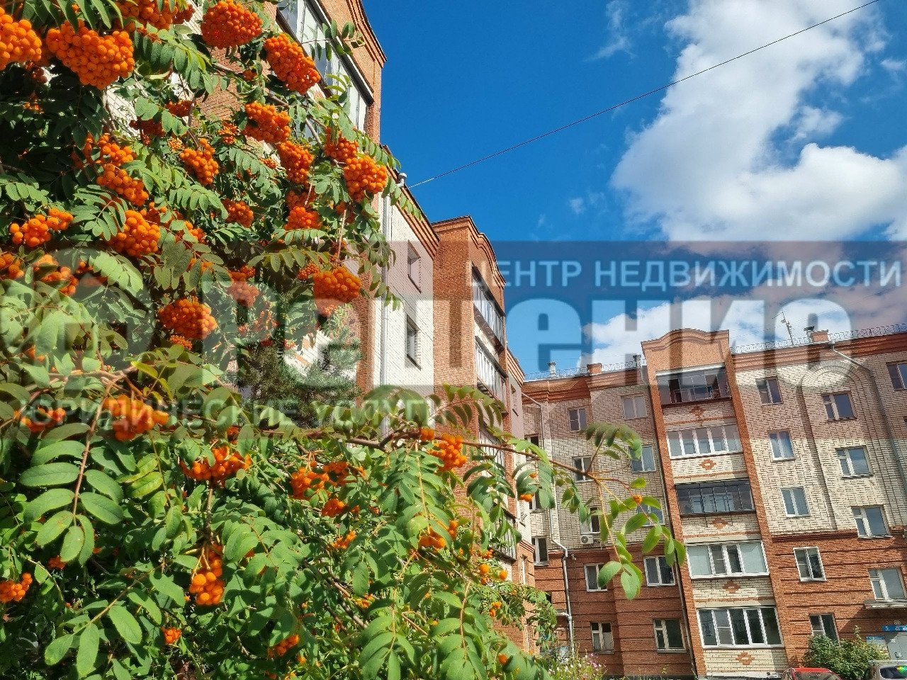 Продаётся уютная студия с отдельной спальней в кирпичном доме — тишина, свет и комфорт 🏡✨
📍 п. РМЗ, ул. Международная, 67а. Кирпичный дом, высокий этаж, закрытая территория — и никаких соседей сверху.
🔑 Что внутри:
· Просторная кухня-студия 20 м² — светлая, удобная, можно зонировать
· Евроокна, межк